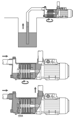     Aspri 25 3M